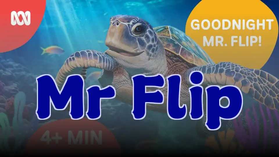 Mr Flip